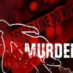 दारूच्या नशेत पत्नीच्या डोक्यात दगड घालून निर्घृण खून केला