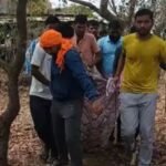 साताऱ्यातील पांडवगडावर इंदापूरमधील गिर्यारोहकांवर मधमाशांचा हल्ला, सहा जखमी, दोन बेशुद्ध