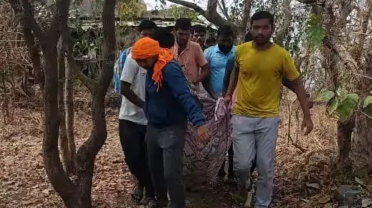 साताऱ्यातील पांडवगडावर इंदापूरमधील गिर्यारोहकांवर मधमाशांचा हल्ला, सहा जखमी, दोन बेशुद्ध