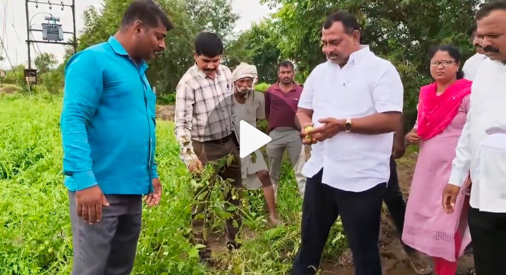 अतिवृष्टीबाधित शेतकऱ्यांसाठी पंढरपूर मंगळवेढा मतदारसंघात 84 कोटी ची मदत आजपासून खात्यावर जमा होणार -आ. आवताडे